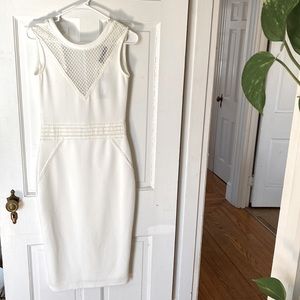 White body con dress NEVER WORN . NWT